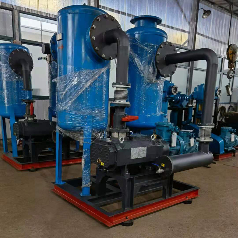 海門真空泵公司定製真空抽氣係統配套DN250旋風榴莲视频在线观看免费現場